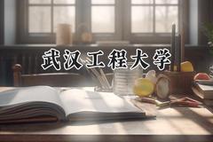 2024武汉工程大学录取分数线：河南最低517分