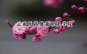 2024云南医药健康职业学院录取分数线：河南最低165分