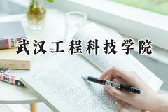 2024武汉工程科技学院录取分数线：云南最低415分