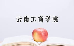 2024云南工商学院录取分数线：河南最低165分