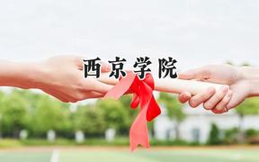 2024西京学院录取分数线：云南最低425分