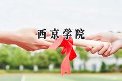 2024西京学院录取分数线：云南最低425分
