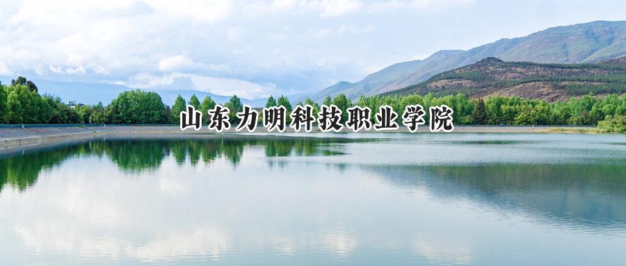 山东力明科技职业学院