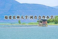 2024福建农林大学(闽台合作办学)录取分数线：云南最低501分