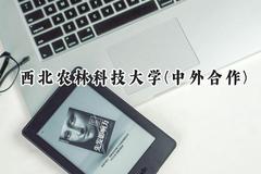 2024西北农林科技大学(中外合作)录取分数线：河南最低582分