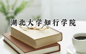 2024湖北大学知行学院录取分数线：云南最低432分