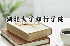 2024湖北大学知行学院录取分数线：云南最低432分