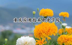 2024重庆应用技术职业学院录取分数线：云南最低221分