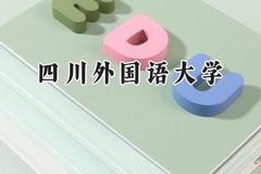 2024四川外国语大学录取分数线：云南最低524分