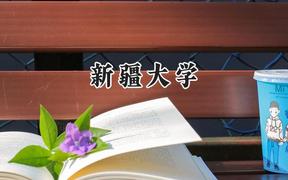 2024新疆大学录取分数线：陕西最低483分