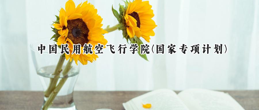 中国民用航空飞行学院(国家专项计划)