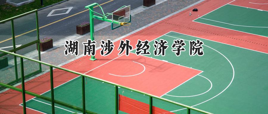 湖南涉外经济学院