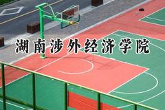 2024湖南涉外经济学院录取分数线：河南最低165分