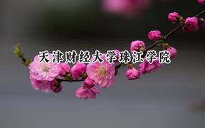 2024天津财经大学珠江学院录取分数线：陕西最低431分