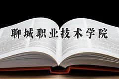 2024聊城职业技术学院录取分数线：河南最低310分