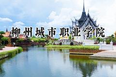 2024柳州城市职业学院录取分数线：河南最低173分