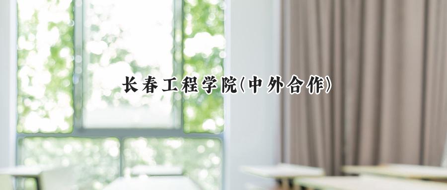 长春工程学院(中外合作)