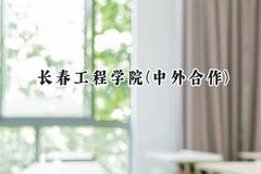 2024长春工程学院(中外合作)录取分数线：河南最低407分