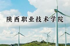 2024陕西职业技术学院录取分数线：云南最低321分