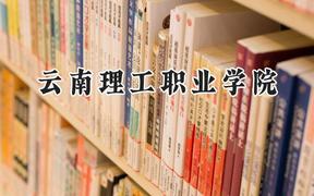 2024云南理工职业学院录取分数线：陕西最低268分