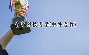 2024青岛科技大学(中外合作)录取分数线：河南最低514分