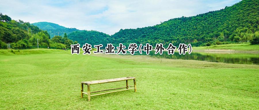 西安工业大学(中外合作)