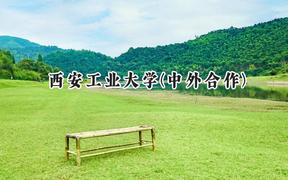 2024西安工业大学(中外合作)录取分数线：河南最低565分