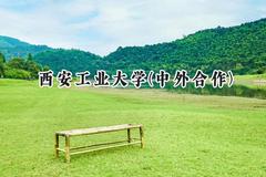 2024西安工业大学(中外合作)录取分数线：河南最低565分