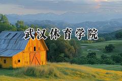 2024武汉体育学院录取分数线：河南最低479分