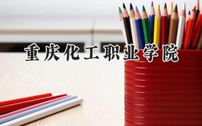 2024重庆化工职业学院录取分数线：河南最低266分