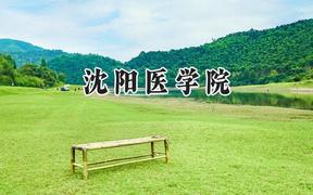 2024沈阳医学院录取分数线：陕西最低428分