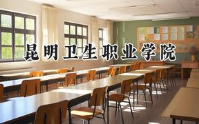 2024昆明卫生职业学院录取分数线：云南最低200分