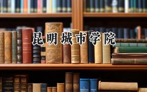 2024昆明城市学院录取分数线：云南最低202分