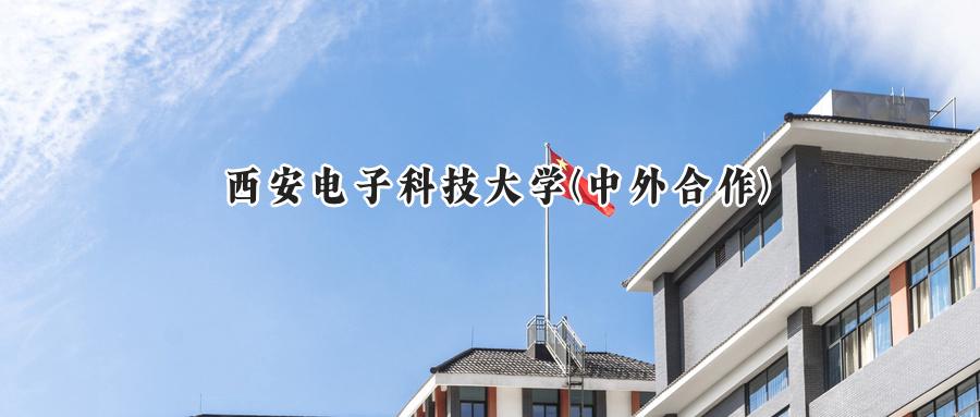西安电子科技大学(中外合作)