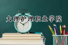 2024大理护理职业学院录取分数线：云南最低214分
