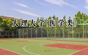 2024大理大学(医学类)录取分数线：云南最低495分