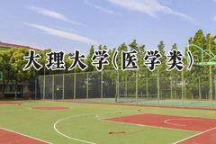 2024大理大学(医学类)录取分数线：云南最低495分
