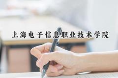 2024上海电子信息职业技术学院录取分数线：云南最低402分