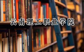 2024云南理工职业学院录取分数线：云南最低200分