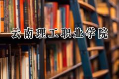 2024云南理工职业学院录取分数线：云南最低200分