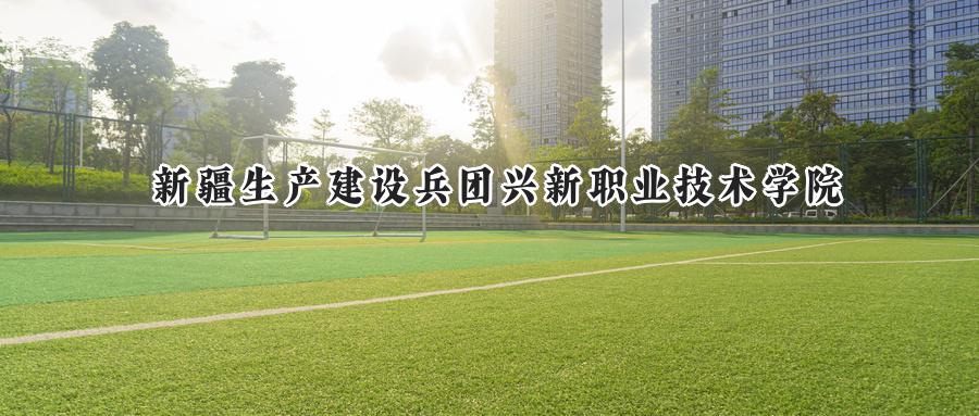 2024新疆生产建设兵团兴新职业技术学院录取分数线：河南最低228分-第1张图片-索考网