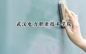 2024武汉电力职业技术学院录取分数线：河南最低406分