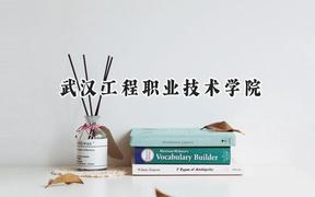 2024武汉工程职业技术学院录取分数线：云南最低396分