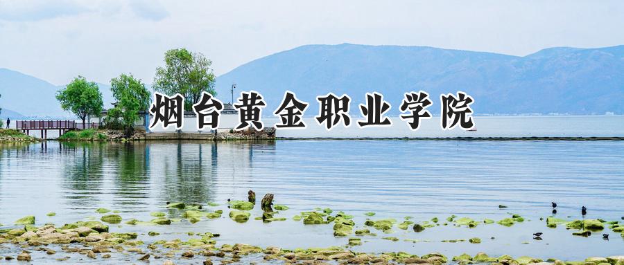 烟台黄金职业学院
