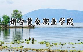 2024烟台黄金职业学院录取分数线：河南最低172分