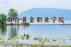 2024烟台黄金职业学院录取分数线：河南最低172分