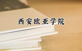 2024西安欧亚学院录取分数线：云南最低397分