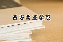 2024西安欧亚学院录取分数线：云南最低397分