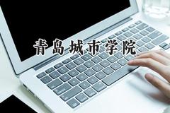 2024青岛城市学院录取分数线：云南最低425分