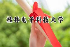 2024桂林电子科技大学录取分数线：陕西最低496分